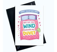 Peachy Antics Funny Valentines Day Card You Are The Wind Valentine's Day Gift For Her For Girlfriend Funny Joke Trump Joke Funny Card A5 Size SP405