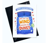 Peachy Antics Funny Valentines Day Card You Are The Wind Valentine's Day Gift For Him For Boyfriend Funny Joke Trump Joke Funny Card A5 Size SP406