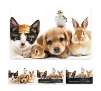 Peacoblue Bank Card Sticker Cute Pets Credit Debit Card Custom Skin Cover Protector, 4 Styles Waterproof Scratch-Proof and Aesthetic Decal for Most Popular EBT Transportation Key Card