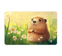 Peacoblue Bank Card Sticker Marmot Credit Debit Card Custom Skin Cover Protector, 4 Styles Waterproof Scratch-Proof and Attractive Decal for Most Popular EBT Transportation Key Card