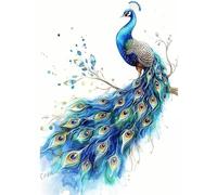 Peacock,Animal Diamond Painting Kits,5D DIY Diamond Art Kits for Adults,Full Drill Gem Embroidery Arts Crafts Painting Pictures by Numbers 35x47cm,Diamond Art for Kids Gifts Home Wall Decor C2256