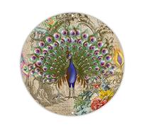 Peacock Beautiful Inside and Out Round Tin Plaque Peacock Lover Tin Metal Sign Rustic Poster Paintings Sign Wall Art Plaque Decorative for Home Beach House Bathroom 9x9in