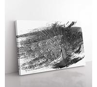 Peacock Bird 4 V1 Modern Canvas Wall Art Print Ready to Hang, Framed Picture for Living Room Bedroom Home Office Décor, 60x40 cm (24x16 Inch)