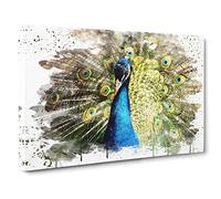 Peacock Bird 5 V3 Canvas Print | Gallery Wrapped 30mm Frame Wall Art | 30x20 inches | Ready to Hang | Modern Animals Picture | Living Room Bedroom Lounge Office