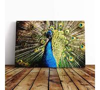Peacock Bird Vol.5 Canvas Print | Gallery Wrapped 30mm Frame Wall Art | 20x14 inches | Ready to Hang | Modern Animals Picture | Living Room Bedroom Lounge Office