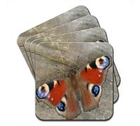 Peacock Butterfly Sitting on Wooden Table Set of 4 Coasters