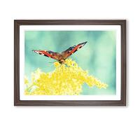 Peacock Butterfly Yellow Flower Modern Framed Print | A4 Walnut Framed Wall Art | Ready to Hang | Modern Floral Picture | Living Room Bedroom Lounge Office
