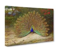 Peacock By Archibald Thorburn Canvas Print | Gallery Wrapped 30mm Frame Wall Art | 20x14 inches | Ready to Hang | Classic Picture | Living Room Bedroom Lounge Office