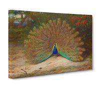 Peacock By Archibald Thorburn Canvas Print | Gallery Wrapped 30mm Frame Wall Art | 30x20 inches | Ready to Hang | Classic Picture | Living Room Bedroom Lounge Office