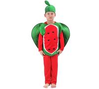 Peacock Costume Carnival Adult Watermelon Costume,Fruit With Watermelon Slice Shaped Tunic With Hood And Printed To Like A(Red,M)
