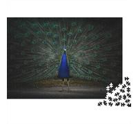 Peacock Displaying Feathers 1000-Piece Adult Jigsaw Puzzle, 52x38cm/1000pcs; White Card with A Low-dust Finish; Easy to Continue on Another Evening