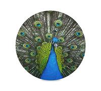 Peacock Feather Art Print Round Placemats Table Circle Place Mats for Dining Kitchen Home Decor