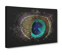 Peacock Feather Paint Splash Modern Art Canvas Wall Art Print Ready to Hang, Framed Picture for Living Room Bedroom Home Office Décor, 20x14 Inch (50x35 cm)