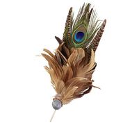 Peacock Feather Pin Badge
