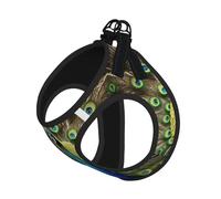 Peacock Feather Print Step in Dog Harness and Leash Set,Adjustable Reflective Harness for Small Dogs Cats