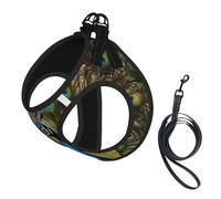 Peacock Feather Print Step in Dog Harness and Leash Set,Adjustable Reflective Harness for Small Dogs Cats