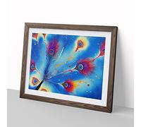 Peacock Feather Splash Vol.1 Abstract H1022 Framed Print for Living Room Bedroom Home Office Décor, Wall Art Picture Ready to Hang, Walnut A2 Frame (64 x 46 cm)