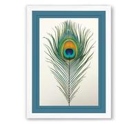 Peacock Feather Study Botanical Framed Wall Art Print A2 (59.4×42cm) White, Wall Decor for Living Room, Bedroom, Office & Home, Ready to Hang, Art Gift