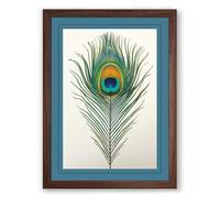 Peacock Feather Study Botanical Framed Wall Art Print A4 (29.7×21cm) Walnut, Wall Decor for Living Room, Bedroom, Office & Home, Ready to Hang, Art Gift