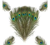 Peacock Feathers, 15Pcs Peacock Feathers Long Natural Large Peacock Eye Feathers, 25-130 Cm Peacock Tail Feather for Carnival Revelry Masquerade Costume Wedding Vase Christmas Party DIY Art & Craft