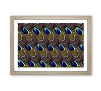 Peacock Feathers (2) Framed Print | A2 Oak Framed Wall Art | Ready to Hang | Modern Animal Picture | Living Room Bedroom Lounge Office