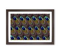Peacock Feathers (2) Framed Print | A2 Walnut Framed Wall Art | Ready to Hang | Modern Animal Picture | Living Room Bedroom Lounge Office