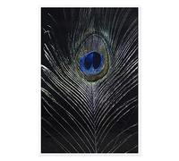 Peacock Feathers Canvas Painting Modern Abstract Wall Art Watercolor Posters and Prints Wall Decor Unframe Wall Artwork Home Decor Office Kitchen Wall Decoration for Home Classroom Office Living Room