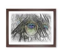 Peacock Feathers In Abstract Modern Art Framed Print | A2 Walnut Framed Wall Art | Ready to Hang | Abstract Animal Picture | Living Room Bedroom Lounge Office