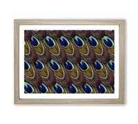 Peacock Feathers No.2 Modern Framed Print | A3 Oak Framed Wall Art | Ready to Hang | Modern Animal Picture | Living Room Bedroom Lounge Office