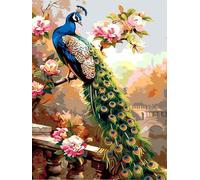 Peacock Feathers Paint by Numbers for Adults with Frame, Large Paint by Number Canvas Kits, DIY Color Oil Painting Acrylic Paints with Brushes, Hobbies for Adults Women, Home Wall Decor 20x30cm J8-203