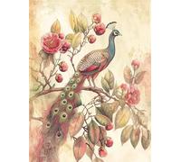 Peacock Feathers Paint by Numbers for Adults with Frame, Large Paint by Number Canvas Kits, DIY Color Oil Painting Acrylic Paints with Brushes, Hobbies for Adults Women, Home Wall Decor 20x30cm J8-63