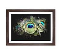 Peacock Feathers Paint Splash Framed Print | A2 Walnut Framed Wall Art | Ready to Hang | Modern Animal Picture | Living Room Bedroom Lounge Office