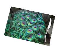 Peacock Green Feather 12x18 Inch Heat Resistant Placemats Set Of 6,Oil Proof Polyester Place Mats For Dining Table,Washable Kitchen Table Mats