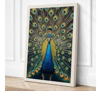 Peacock in Display Modern Canvas Wall Art Print 30x20 Inch (76 x 51 cm)