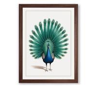 Peacock in Profile Botanical Framed Wall Art Print A4 (29.7×21cm) Walnut, Wall Decor for Living Room, Bedroom, Office & Home, Ready to Hang, Art Gift