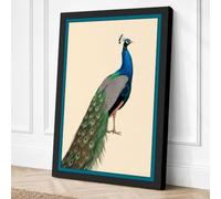 Peacock in Profile Vintage Canvas Wall Art Print 24x16 Inch (61 x 41 cm)