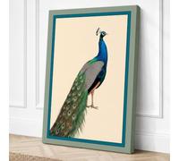 Peacock in Profile Vintage Canvas Wall Art Print 36x24 Inch (91 x 61 cm)