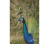 Peacock Notebook: Bird Notebook: Peacock Pattern | Lined pages | 100+ pages | 6 x 9 Inches | A5