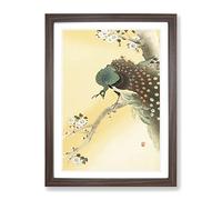 Peacock On A Cherry Blossom Tree By Ohara Koson Asian Japanese Framed Print | A4 Walnut Framed Wall Art | Ready to Hang | Asian Floral Picture | Living Room Bedroom Lounge Office