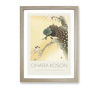 Peacock On A Cherry Blossom Tree By Ohara Koson Exhibition Museum Asian Japanese Framed Print | A3 Oak Framed Wall Art | Ready to Hang | Asian Floral Picture | Living Room Bedroom Lounge Office