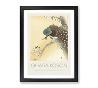 Peacock On A Cherry Blossom Tree By Ohara Koson Exhibition Museum Asian Japanese Framed Print | A4 Black Framed Wall Art | Ready to Hang | Asian Floral Picture | Living Room Bedroom Lounge Office