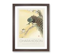 Peacock On A Cherry Blossom Tree By Ohara Koson Exhibition Museum Asian Japanese Framed Wall Art Print, Ready to Hang Picture for Living Room Bedroom Home Office Décor, Walnut A2 (64 x 46 cm)