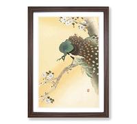 Peacock on a Cherry Blossom Tree by Ohara Koson Framed Print | A2 Walnut Framed Wall Art | Ready to Hang | Modern Floral Picture | Living Room Bedroom Lounge Office