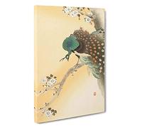 Peacock on a Cherry Blossom Tree by Ohara Koson Painting Canvas Print | Gallery Wrapped 30mm Frame Wall Art | 30x20 inches | Ready to Hang | Asian Floral Picture | Living Room Bedroom Lounge Office