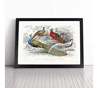 Peacock & Pheasants by Oliver Goldsmith - | Framed Wall Art Print | Modern Home Decor Picture | Ready to Hang Artwork for Living Room, Bedroom, Kitchen or Office | Multiple Sizes