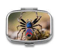 Peacock Spider Pill Box Travel Pill Organizer 2-Compartment with Mirror Design Portable Square Medicine Case for Vitamins, Jewelry & Essentials Durable Pocket Pillcase for Purse, Camping