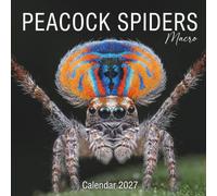 Peacock Spiders Calendar 2027: Macro Photography Journey Into the Vibrant World