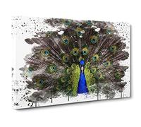 Peacock V3 Canvas Print for Living Room Bedroom Home Office Décor, Wall Art Picture Ready to Hang, 30 x 20 Inch (76 x 50 cm)