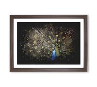 Peacock Vol.1 Paint Splash Framed Print | A2 Walnut Framed Wall Art | Ready to Hang | Modern Animal Picture | Living Room Bedroom Lounge Office