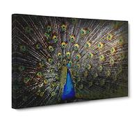 Peacock With Outstretched Feathers Modern Art Canvas Wall Art Print Ready to Hang, Framed Picture for Living Room Bedroom Home Office Décor, 20x14 Inch (50x35 cm)